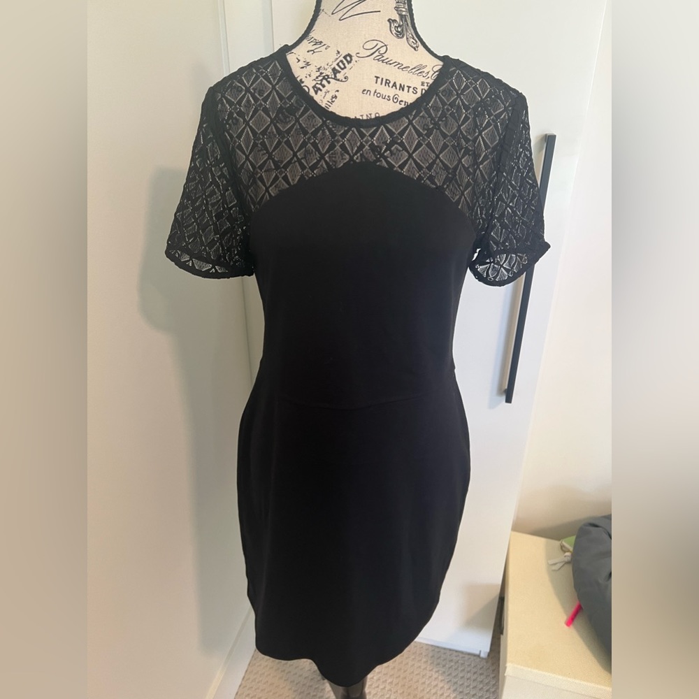 Lace Mini Dress